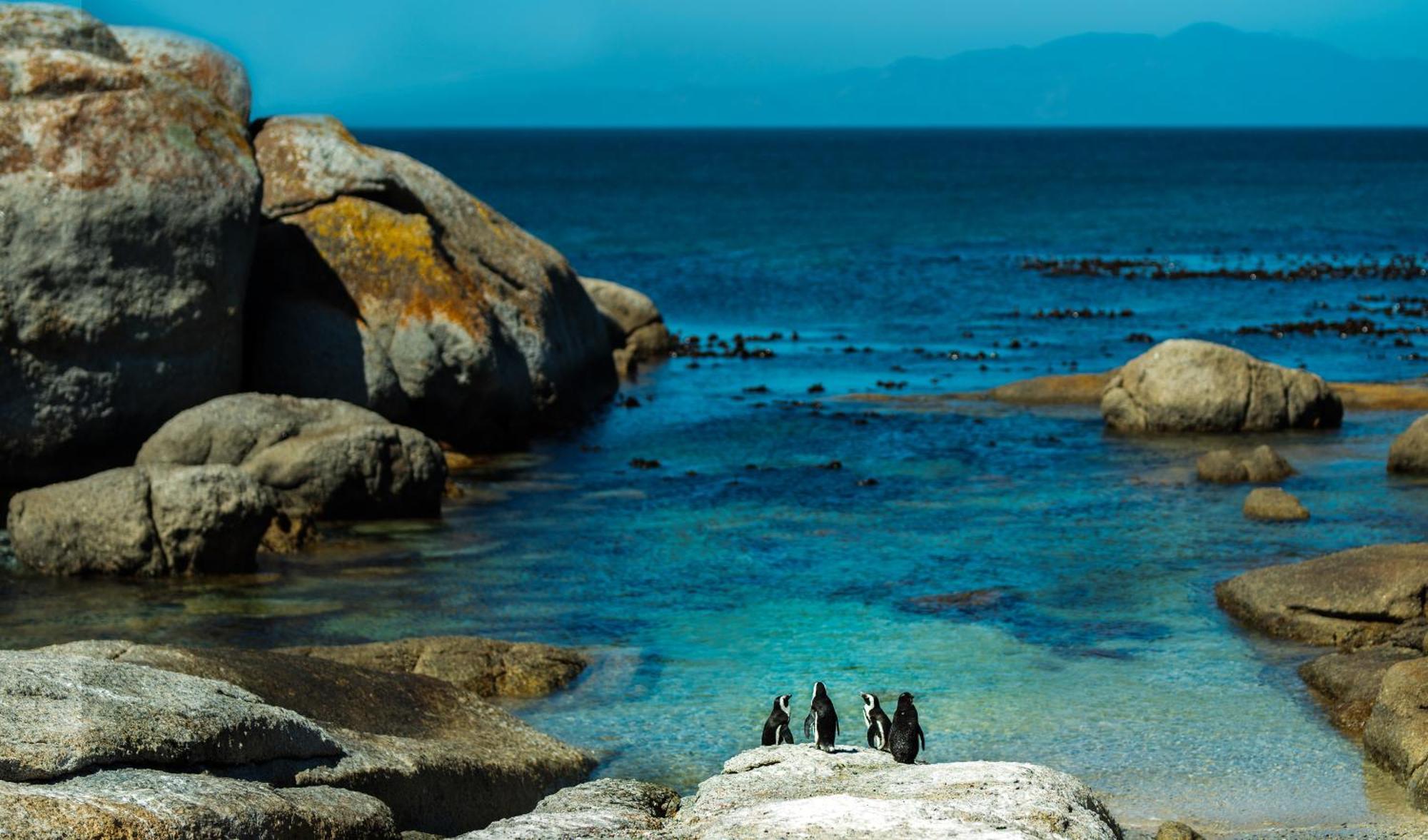 Eclectic Heritage Paradise Simonʼs Town Buitenkant foto